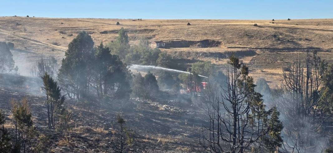 Konya’da piknikçi ateşi ormanı yaktı 5